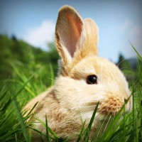 /album/el-rincon-del-conocimiento/photolia-a03-jpg/