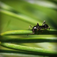 /album/el-rincon-del-conocimiento/photolia-a05-jpg/